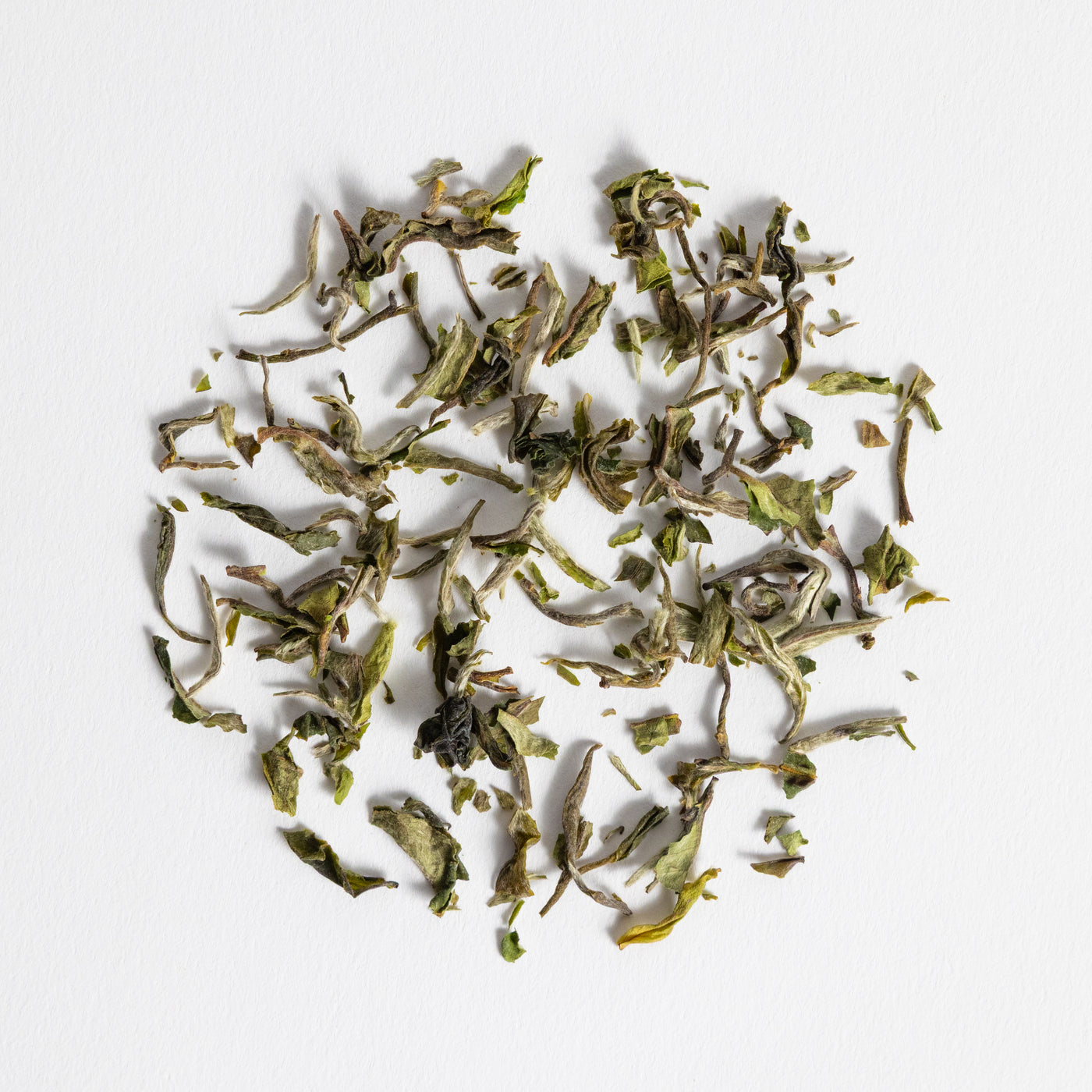 Darjeeling Gielle Dj-09 First Flush 2025