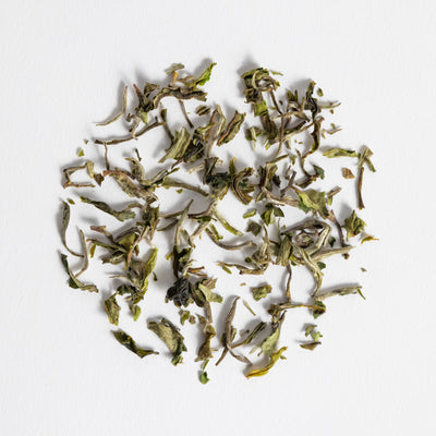 Darjeeling Gielle Dj-09 First Flush 2025