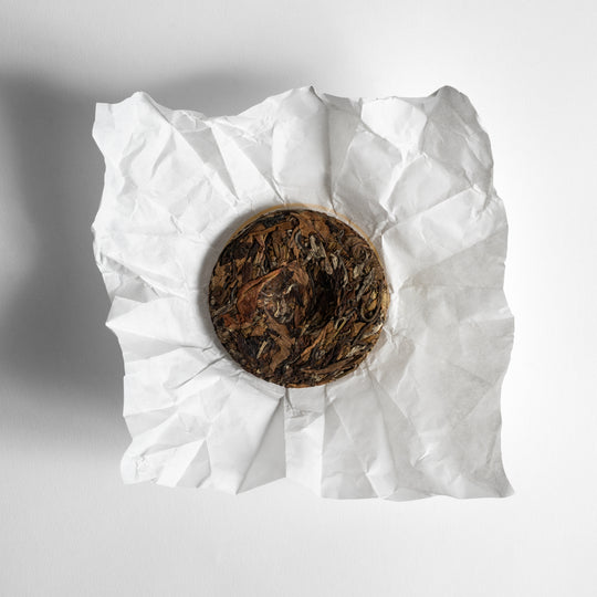 White Pu Erh Cake 2022