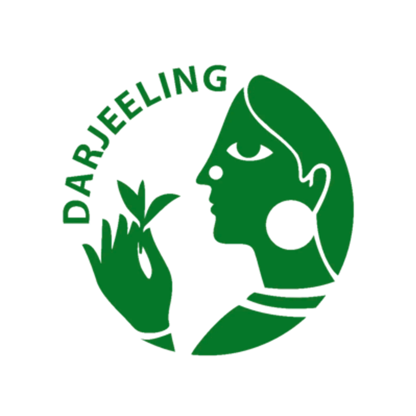 Darjeeling Liza Hill "Clonal Flowery" First Flush 2023