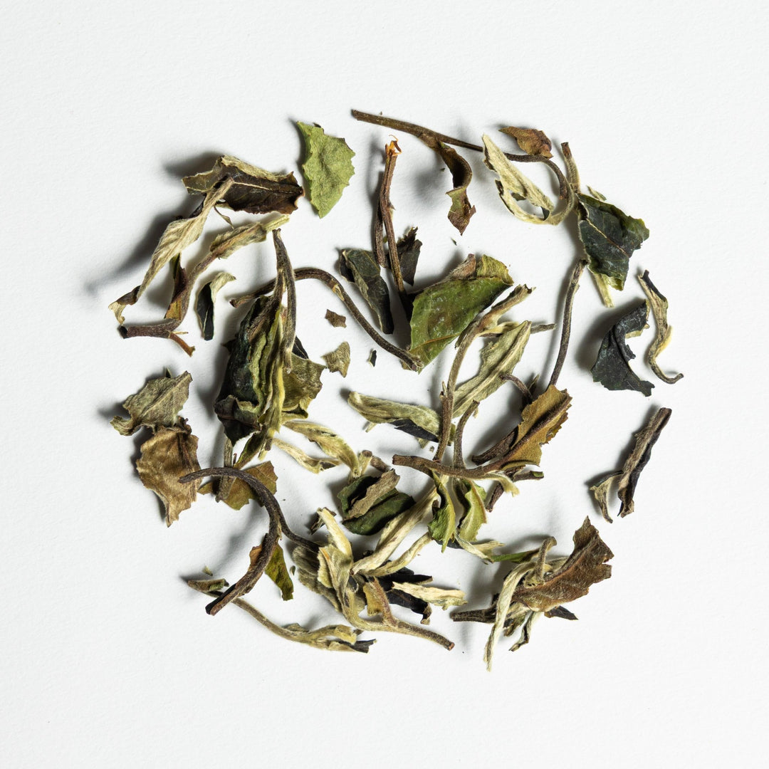 Bai Mu Dan - The Tea Centre of Stockholm