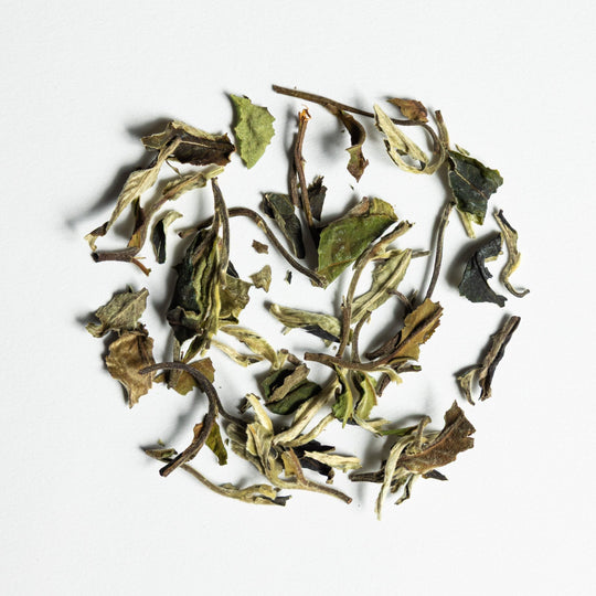 Bai Mu Dan - The Tea Centre of Stockholm
