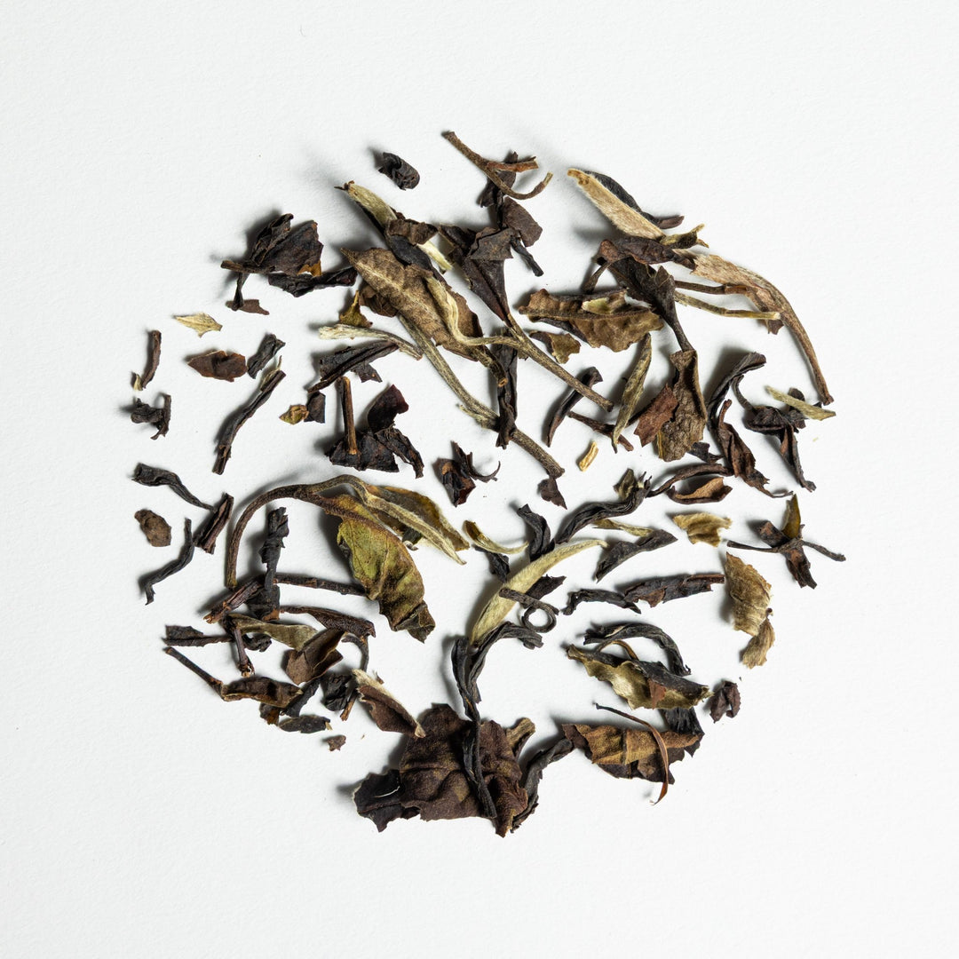 Yue Guang Bai "Silver Moonlight" EKO - The Tea Centre of Stockholm